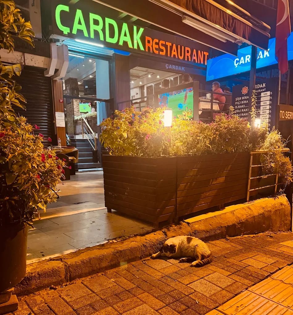dıs mekan